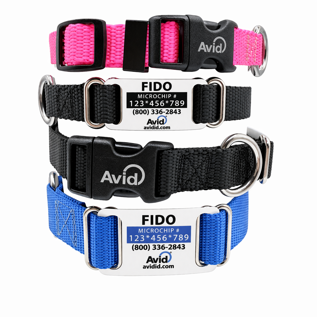 Personalized Collar with Slide-On Tag